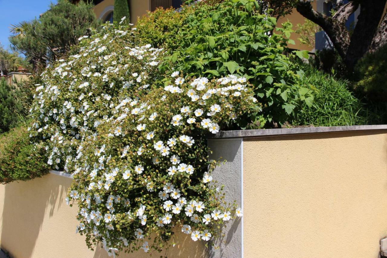 Le Vallon De Saint Andre Limonest Eksteriør bilde